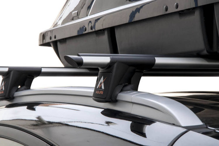 Aguri Runner gelænderholder Fiat 500 2015-