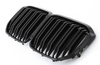 NYREGRILL BMW X7 G07 DOBBELT BLANK SORT X6M OPT