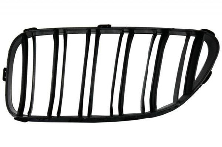 GRILL (NYRE) BMW F06 F12 F13 BLANK SORT LOOK M6