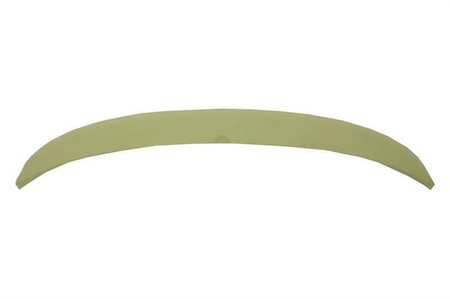 TAGSPOILER FIAT 500 2007-