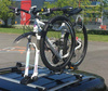 Aguri Marathon cykelholder sort