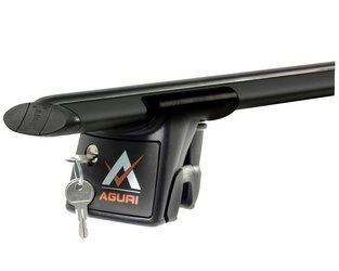 Aguri Runner gelænderstativ Fiat 500 Crossover 2015-