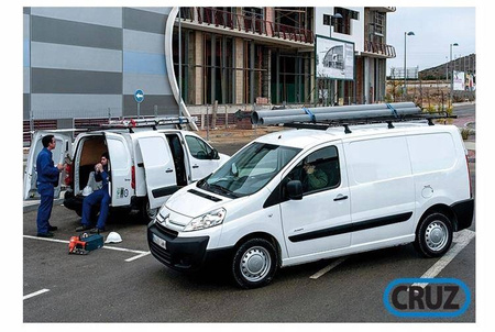 Platform-tagbagagebærer Nissan NV200 2009-&gt