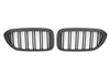 GRILL (NYRE) BMW G30 G31 DOBBELT M5 LOOK SORT MAT