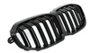 GRILL (NYRE) BMW 1 F40 F41 19- DOBBELT GLANS SORT