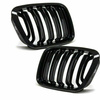 GRILL (NYRE) BMW E46 98-01 SEDAN GLOSSY DOUBLE