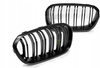 Grill sport mat sort til Bmw F20 F21 LCI 15-18