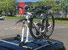 Aguri Marathon Basic cykelholder sort