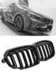 GRILL (NYRE) BMW 1 F40 F41 19- DOBBELT GLANS SORT