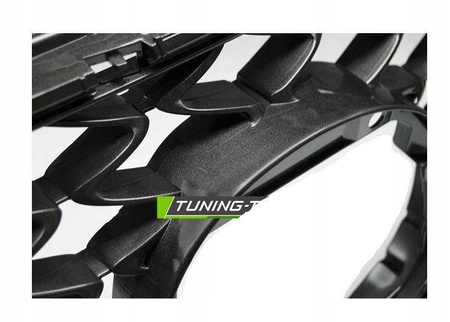 Grill Lexus RX350 12-15 sport style gloss