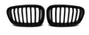 Front nyre grill mat sort til Bmw F20 F21 11-14
