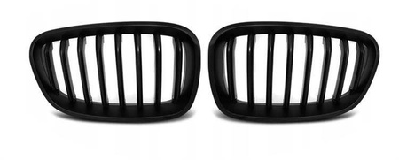 Front nyre grill mat sort til Bmw F20 F21 11-14