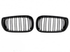 GRILL (NYRE) BMW E46 01-05 BLANK SORT