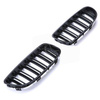 GRILL (NYRE) BMW E90 08-11 DOBBELT SORT MAT